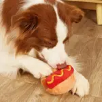 Brinquedo Pelúcia Hot Dog - Imagem 2