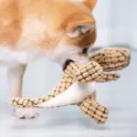 Brinquedo Pelúcia Pet Dinossauro - Imagem 5