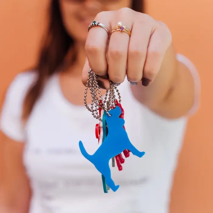 Chaveiro Pet - Raças - Imagem 1