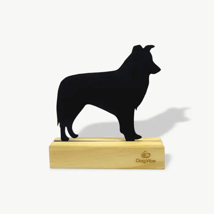 Enfeite Decorativo Border Collie Miniatura - Imagem 1