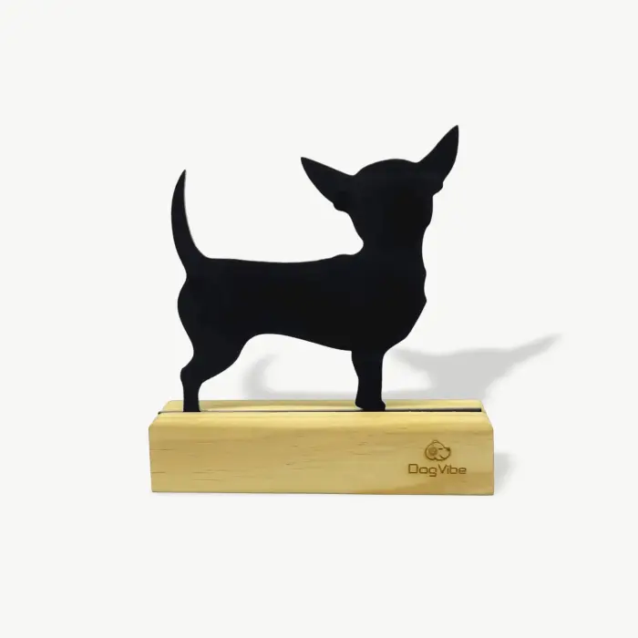 Enfeite Decorativo Chihuahua Miniatura - Imagem 1