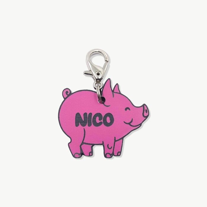 Tag de Identificação Piggy - Imagem 1