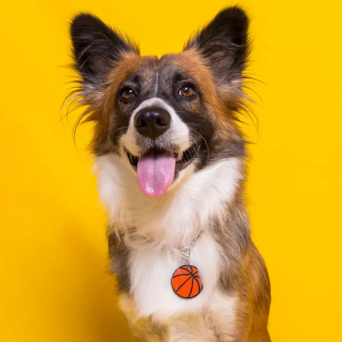 Tag de Identificação Bola de Basquete - Imagem 3