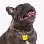Tag de Identificação Tiger - Imagem 3