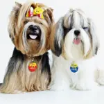 Tag de Identificação Pote de Mel - Imagem 3