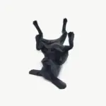 Vira-Lata 3D Belly Up - Imagem 2