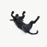 Vira-Lata 3D Belly Up - Imagem 3