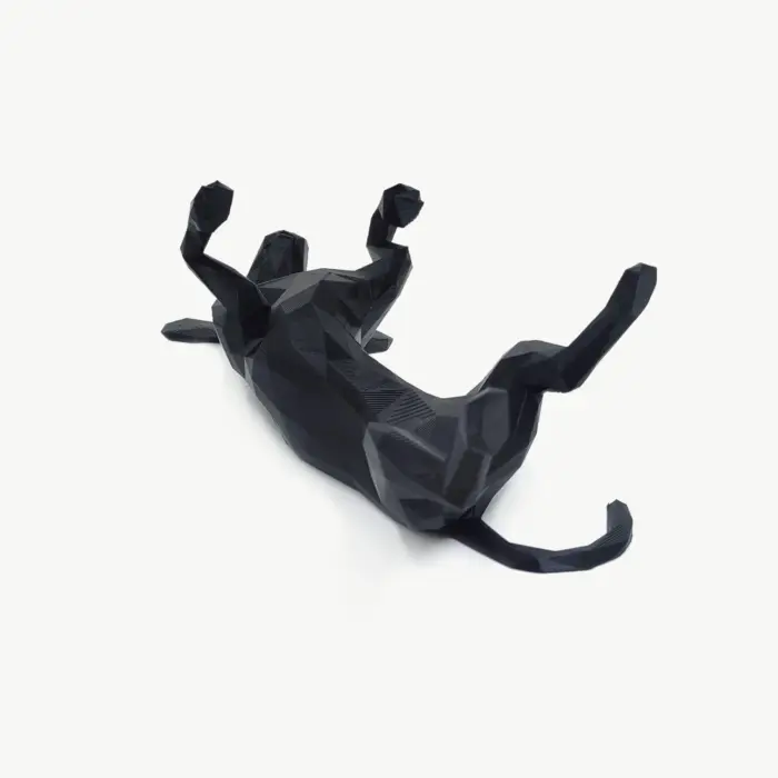 Vira-Lata 3D Belly Up - Imagem 3