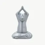 Cat Zen 3D