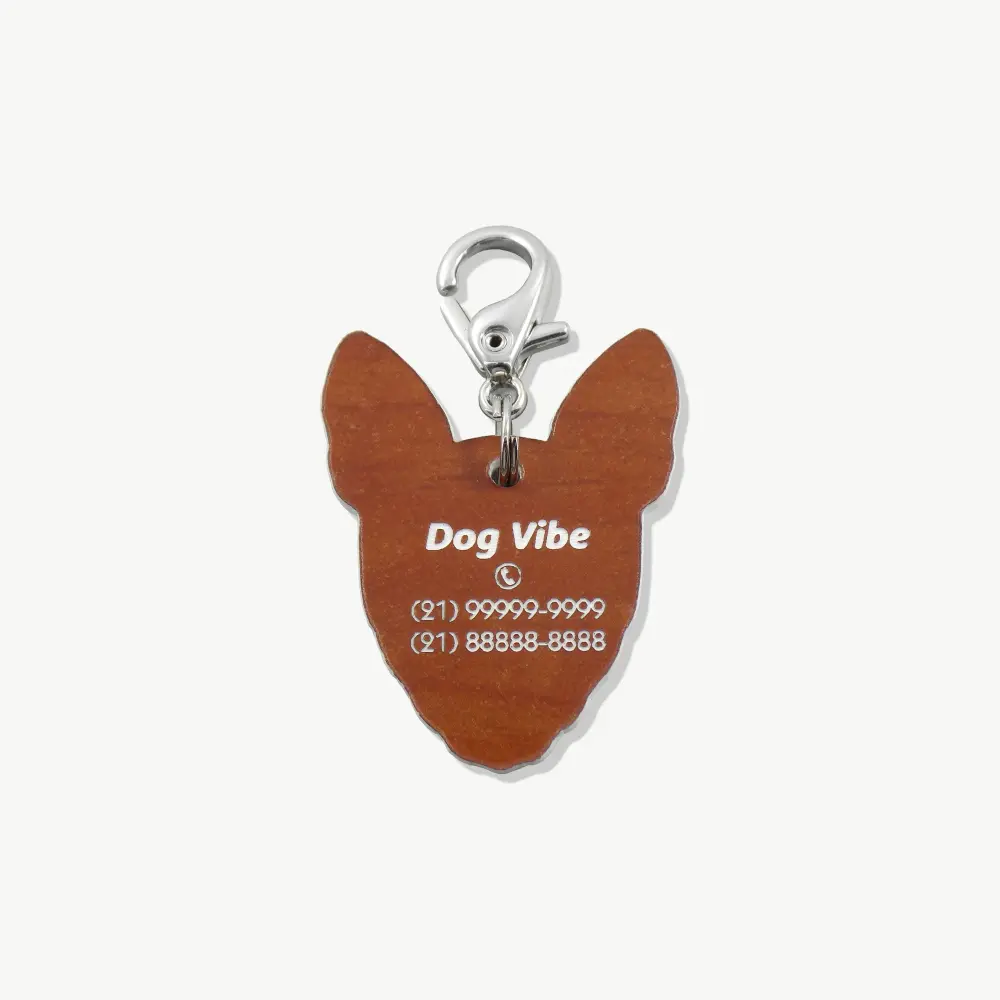 basenji_p2 Tag de Identificação Basenji - Imagem 2