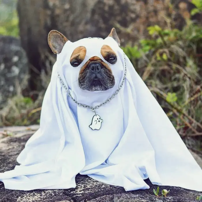 Tag de Identificação Fantasma - Imagem 3