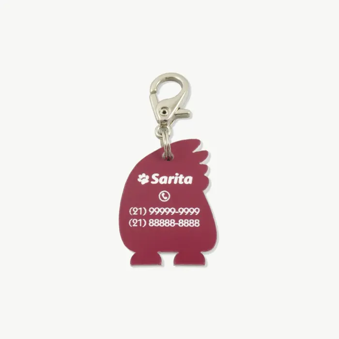Tag de Identificação Sarita - Imagem 2