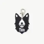 Tag de Identificação Border Collie