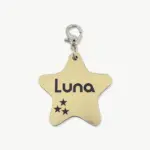 Tag de Identificação Estrela
