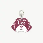 Tag de Identificação Shih Tzu