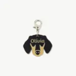 Tag de Identificação Dachshund