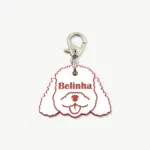 Tag de Identificação Poodle