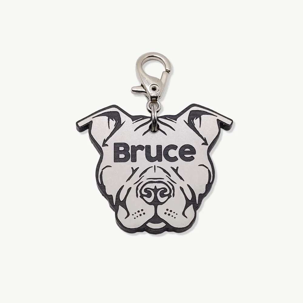 tag_de_identificacao_pet_dog_vibe_american_bully_.webp Tag de Identificação American Bully - Imagem 1