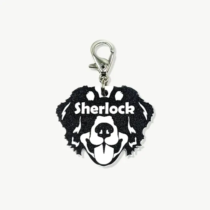 Tag de Identificação Bernese Mountain Dog - Imagem 1