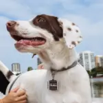 Tag de Identificação Barril - Imagem 3