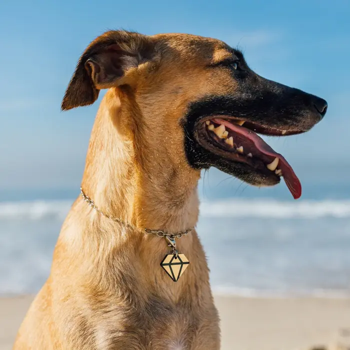Tag de Identificação Diamond - Imagem 3
