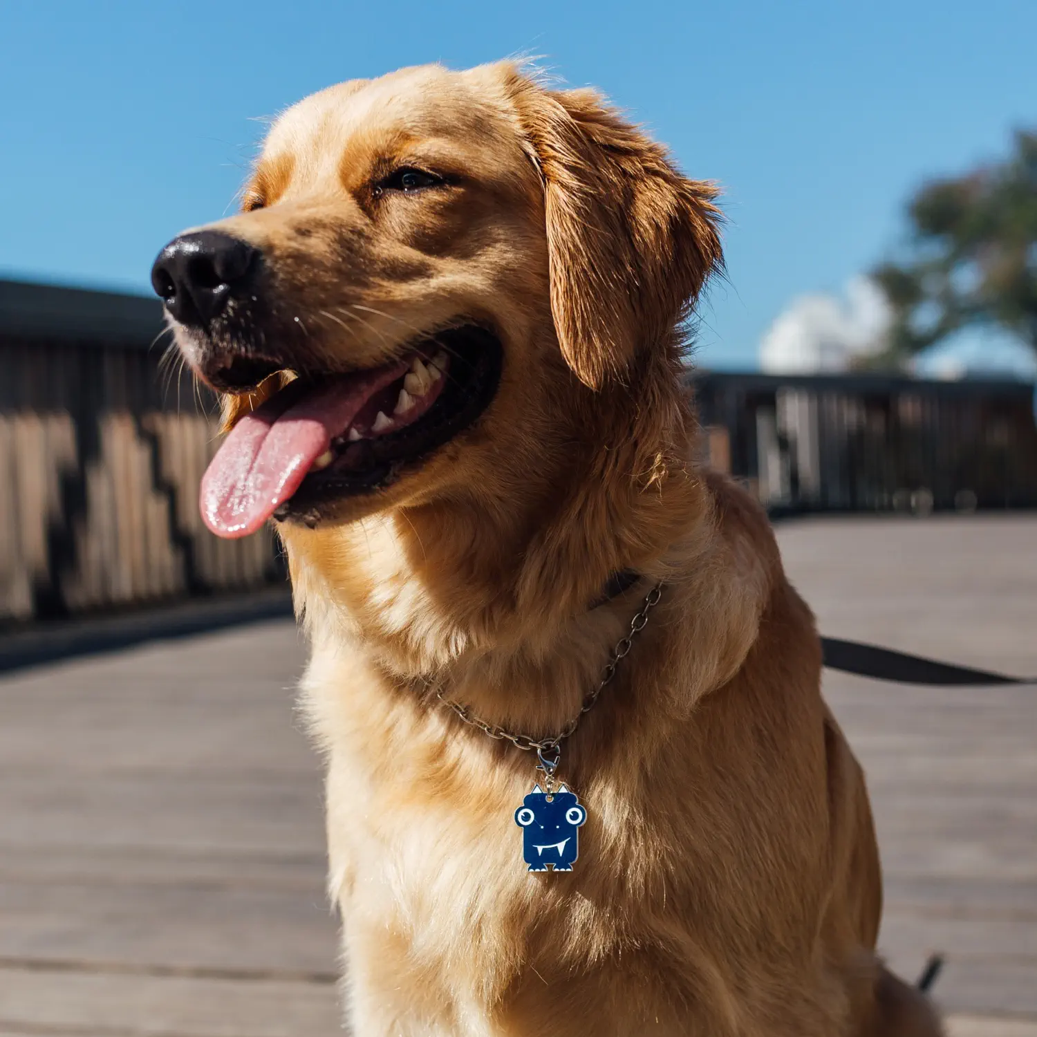 tag_identificacao_dog_vibe-lelo_p3.webp Tag de Identificação Lelo - Imagem 3
