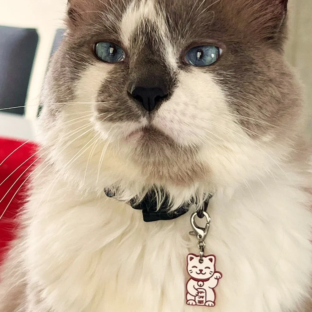 tag_manekineko_p3 Tag de Identificação Maneki Neko - Imagem 3