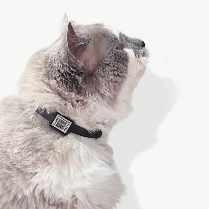 Tag de Identificação para Gatos com QR Code - Clip Tag - Petscan - Imagem 1