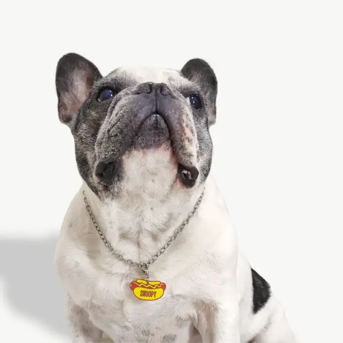 Tag de Identificação Hot Dog - Imagem 3